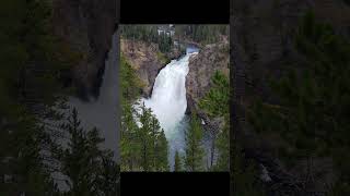 Old Faithful in Yellowstone [upl. by Corso]