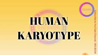 HUMAN KARYOTYPE and its significance [upl. by Jarrid867]