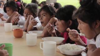 Educación en la selva peruana [upl. by Alleuqahs]