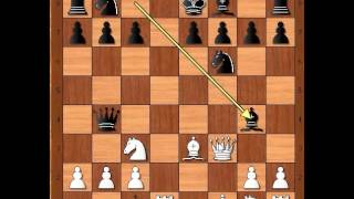 Crni je upao u klopku  BARTSCH vs JENNEN BlackmarDiemer gambit  726 [upl. by Ahsiliw344]