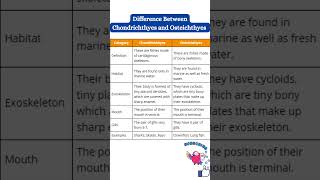 Difference between osteichthyes and chondrichthyes shorts biology Biologymagnification [upl. by Holly-Anne]