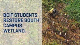 South Wetland Restoration Project students return to BCIT [upl. by Hartmunn]