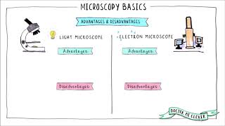 MICROSCOPY BASICS AQA 91 GSCE Biology Topic 1 Cell Biology [upl. by Vowel]