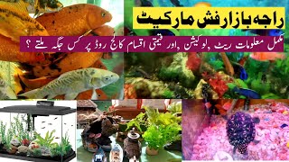 Exploring Fish Market Comati Chowk Raja Bazar Rawalpindi  Aquarium Shop and Price All Kind of fish [upl. by Clements]