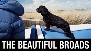 The beautiful Norfolk Broads from a hire boat [upl. by Zug]