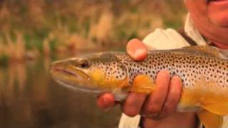 Montana Missouri River May 2008 Fly Fishing [upl. by Robbie]