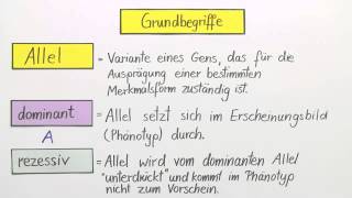 Erbgänge dominantrezessiv intermediär und kodominant  Biologie  Genetik [upl. by Esenej]