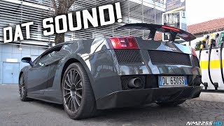 BEST Sounding V10 Lamborghini EVER Made  2008 Lamborghini Gallardo Superleggera [upl. by Reppiks885]