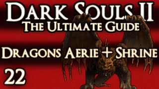 DARK SOULS 2  THE ULTIMATE GUIDE  PART 22  DRAGONS AERIE  SHRINE [upl. by Edwine452]