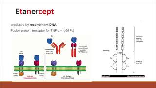 TNFa inhibitors Simplified for the USMLE and COMLEX [upl. by Burkhard]