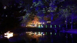 Luminate  Japanse Tuin  November 2024 [upl. by Tally]