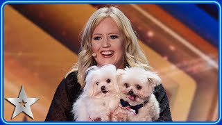 DANCING DOG Trip Hazard returns to Britains Got Talent stage  Auditions  BGT 2024 [upl. by Diena]