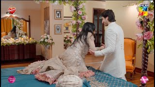 Aj Ki Raat Khoob Masti Hogi seharkhan hamzasohail  Fairy Tale  HUM TV [upl. by Shafer645]