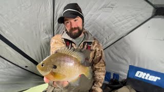 Early Ice Crappies And Bluegills FT FISHNMORE [upl. by Pattie]