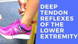 Deep Tendon Reflexes of the Lower Extremities [upl. by Barnaby]