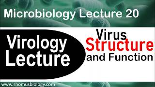 Virology lecture 1  Virus structure and classification [upl. by Osithe]