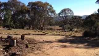 Dads property in Nimmitabel NSW [upl. by Akinom]