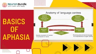 aphasia meaning  types of aphasia  wernickes amp brocas aphasia clinical features aphasia [upl. by Pember874]