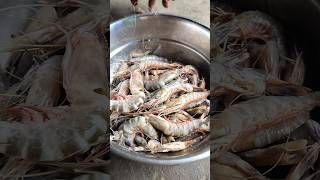 🦐 Delicious Prawns Curry 🤤odia shorts viral trending foryou lunch prawns minivlog [upl. by Cardwell]