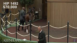 Keeneland Live Feed [upl. by Merilee]