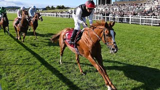 What a horse KYPRIOS runs Irish Leger rivals into ground [upl. by Hoye]