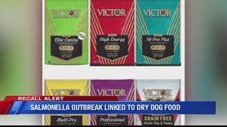 Pet Food Recall [upl. by Gnemgnok]