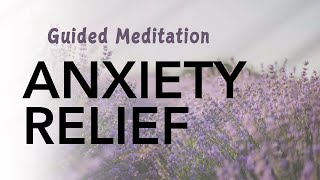 Guided Meditation for Anxiety Relief  Calm Your Mind  Anxiety Relief [upl. by Itraa]