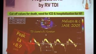 Gheorghe Cerin Perioperative echocardiography of the right ventricle [upl. by Felike]