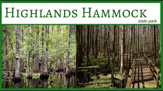 Highlands Hammock State Park [upl. by Brittan]