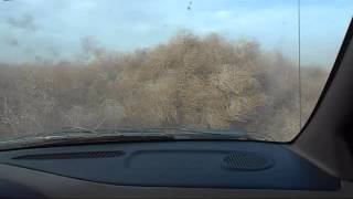 Tumbleweed storm in rush [upl. by Einnalem142]