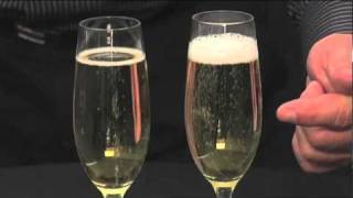 Schott Zwiesel Champagne Flutes by Pottery Barn [upl. by Nahtaj]