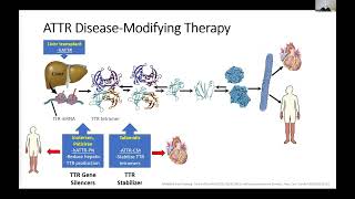 HFpEF Series Treatments [upl. by Ekal192]