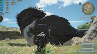 Final Fantasy XV  1080p with the Nvidia GTX 750 TI  2GB amp the Intel Q8400 [upl. by Carlye]