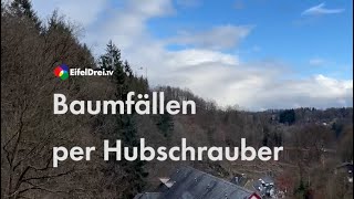 Baumfällen per Hubschrauber [upl. by Llenyr]