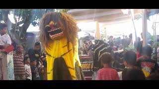 BARONGAN NGESTI WARGO BUDOYO LIVE TAWANG PART 1 [upl. by Halik]