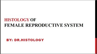 Histology of Female reproductive system Part 1 Ovary  Oviduct  Uterus  Vagina [upl. by Atteugram]