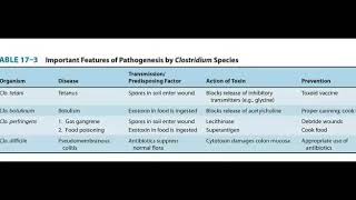 Clostridium species important features [upl. by Furmark]