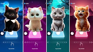 CUTE CATS COVERS WEDNESDAY LADY GAGA BLOODY MARY vs BLACKPINK LISA MONEY vs JISOO FLOWER ALAN WALKER [upl. by Anirrok]