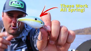 Best Crappie Baits to use ALL SPRING [upl. by Atsok3]