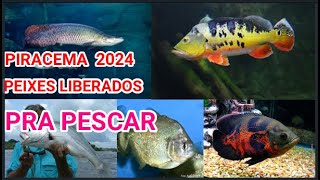 Momento da pesca Piracema 2024 A Época de Pesca Que Você Não Quer Perder veja os peixes liberados [upl. by Leasim332]