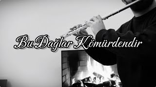 Bu Dağlar Kömürdendir  Yan Flüt  Flute   Fizyo Müzik [upl. by Raimundo589]