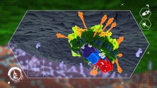 Botulinum Neurotoxin Mechanism of Action [upl. by Luapnhoj]