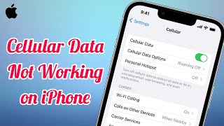 Cellular Data Not Working After iOS 18 Update Fixed [upl. by Norma]