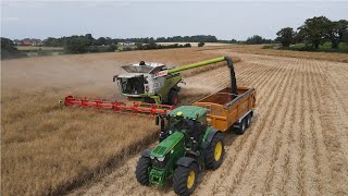 Harvest 2021  Claas Lexion 770  FS Watts amp Sons [upl. by Nonnac]