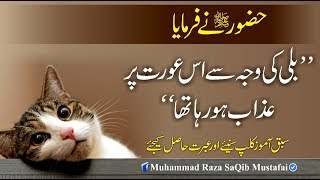 Muhammad Raza SaQib Mustafai  HUZOOR Ne Farmaya Billi Ki Waja Se Is Orat Pr Azaab Ho Raha Tha [upl. by Fidele]