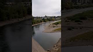 The Clackamas River lineup of people fishing [upl. by Eimyaj947]