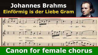 Brahms  Einförmig is der Liebe Gram Op 11313 [upl. by Arima]