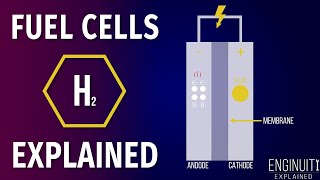 Hydrogen Fuel Cell How It Works [upl. by Seigler]