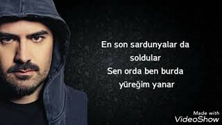 Toygar Işıklı  Sardunyalar  lyrics [upl. by Odie]