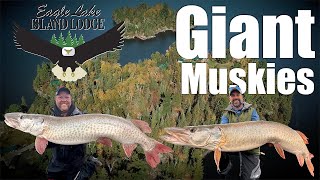 Giant Eagle Lake Muskies [upl. by Karlene]